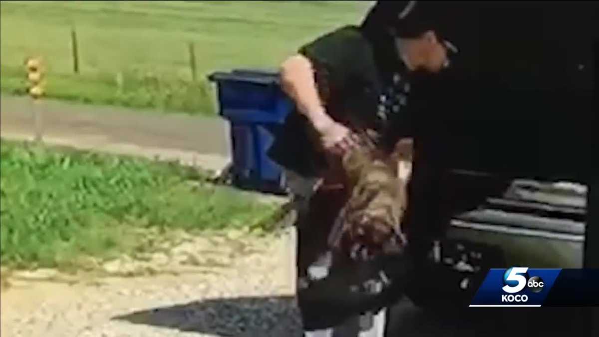 Man caught on camera tossing puppies out of car outside home in Blanchard