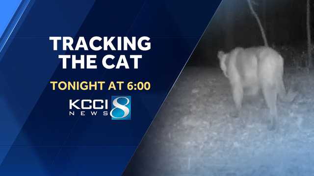 Tonight at 6: Tracking the Cat - Vimarsana News