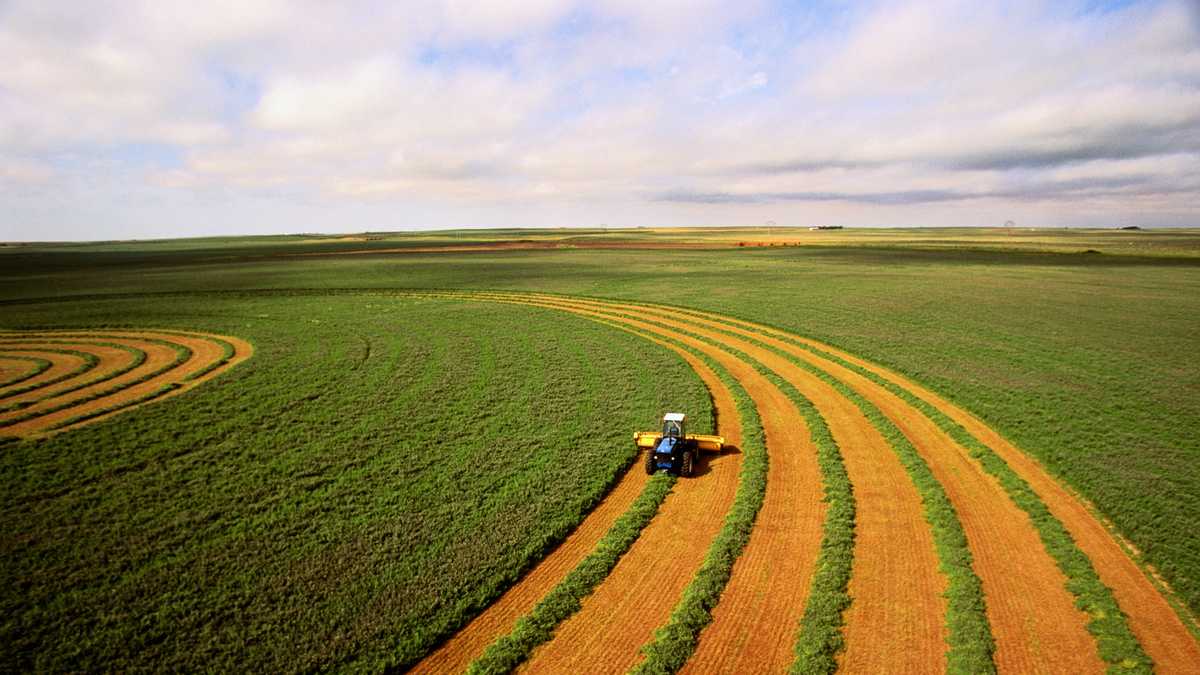 Shutdown Threatens November SNAP Benefits