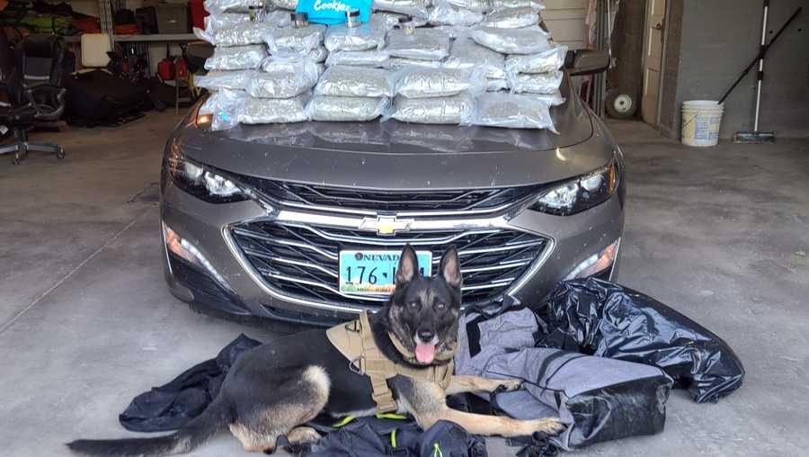 2 arrested, 110 lbs of marijuana seized in traffic stop that started in Fremont County.