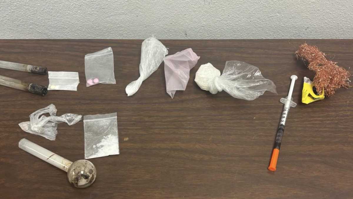 Deputies: 'Significant' amount of illegal drugs, counterfeit money found during traffic stop