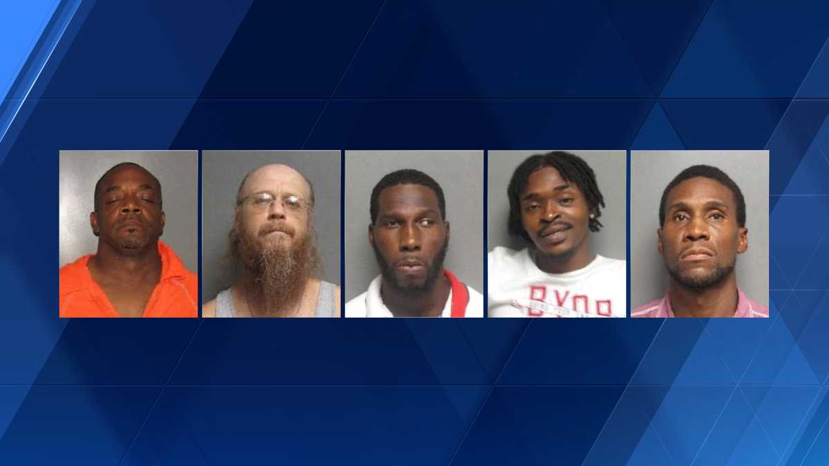 More than a dozen people arrested in human trafficking sting - WVTM