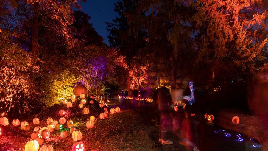 Walk among thousands of glowing pumpkins at Indiana museum's new spooky