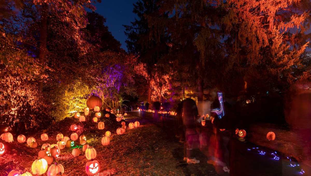 Walk among thousands of glowing pumpkins at Indiana museum's new spooky ...