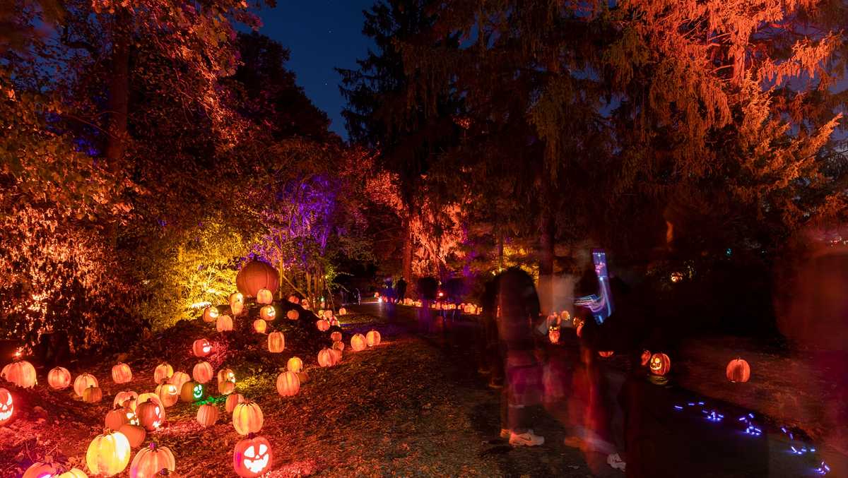 Walk among thousands of glowing pumpkins at Indiana museum's new spooky