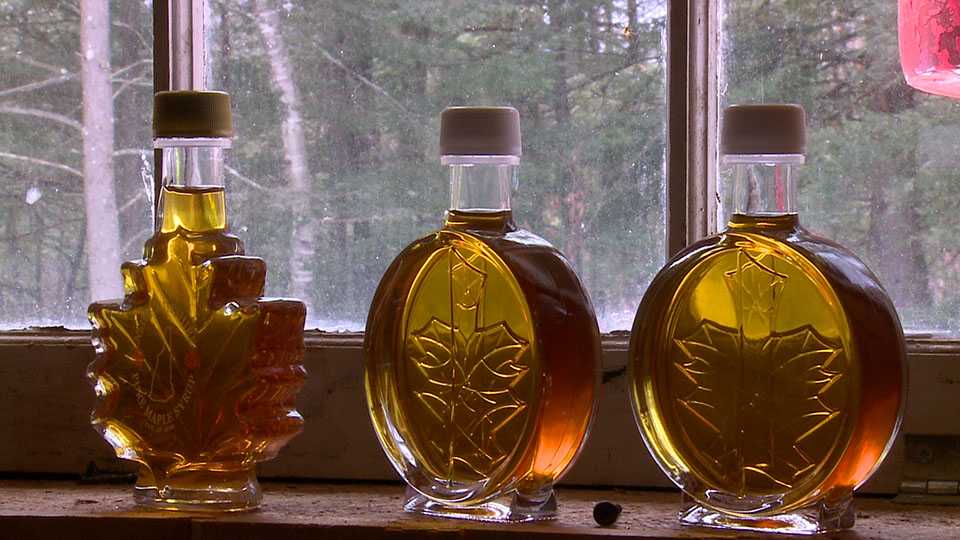 Friday, April 1st: The Trail Side Sugar House