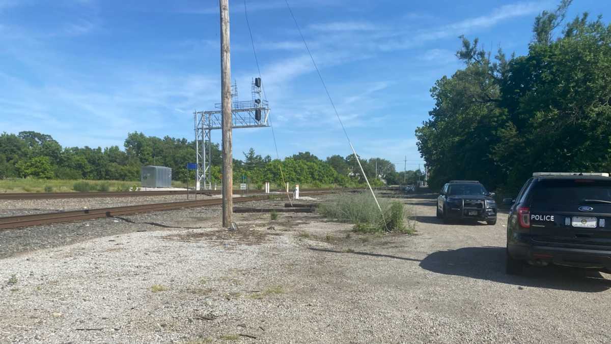 Woman loses arm, severs foot after being struck by train