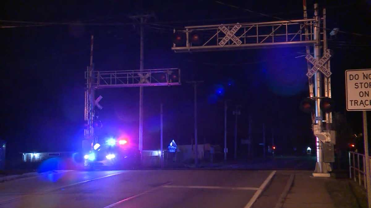 Coroner identifies man hit, killed by train in Valley Station