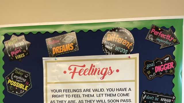 WDSU explores trauma in the classroom, ways to help students cope - Vimarsana News