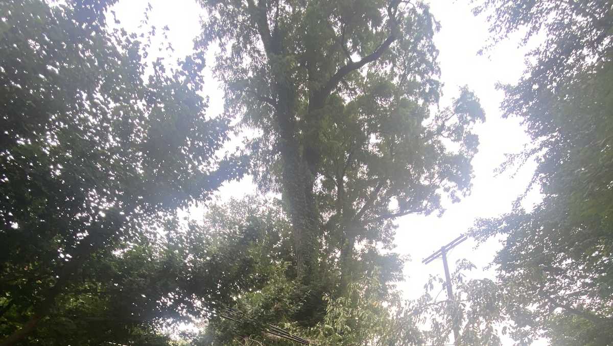 Thousands still without power Sunday night after Saturday storm