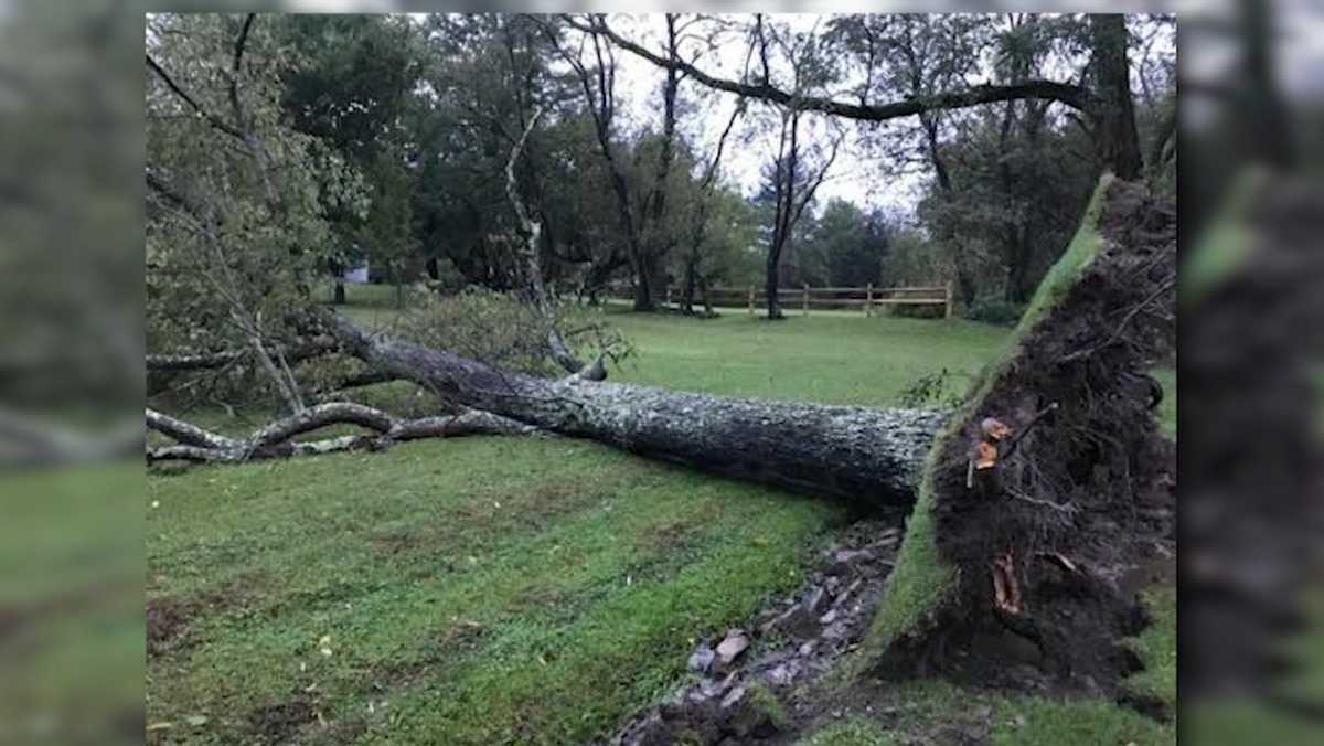 National Weather Service confirms EF1 tornado in Westmoreland County