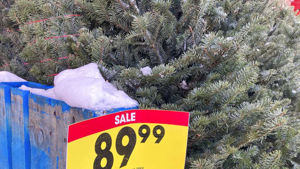 Natural vs. artificial Which Christmas tree option is better for the