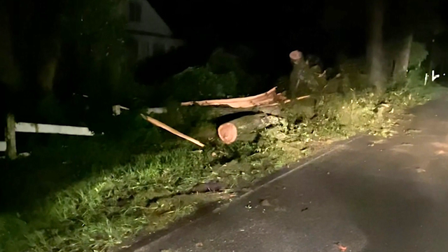 Georgia: 1 dead, thousands without power due to severe storm - Vimarsana News