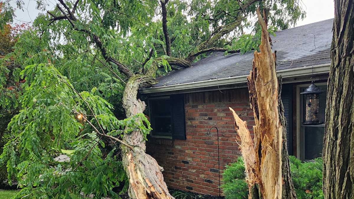 Pennsylvania storm damage pictures June 17
