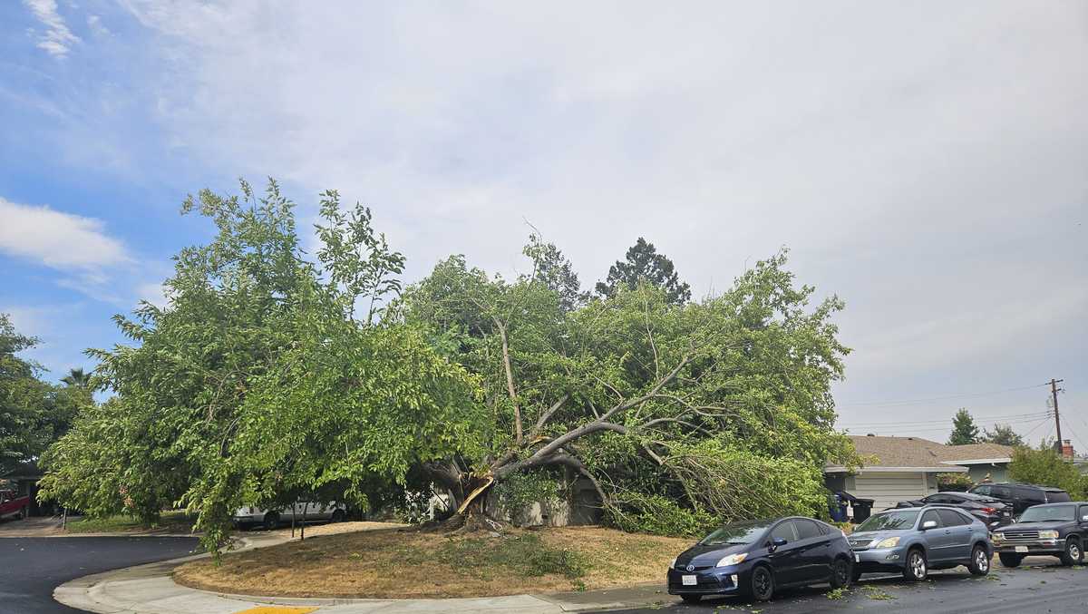 Thousands lose power in Sacramento County amid powerful winds