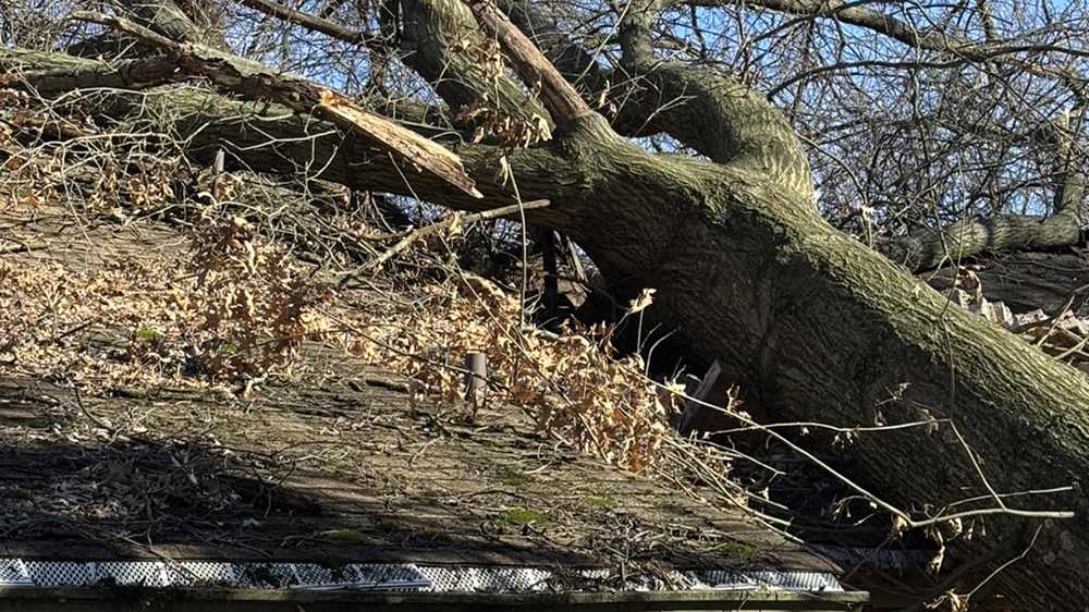 Tree falls on house in West View, Pennsylvania