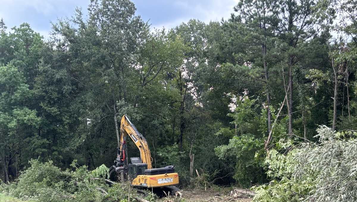 Road work and tree clearing underway on Interstate 220 in Jackson