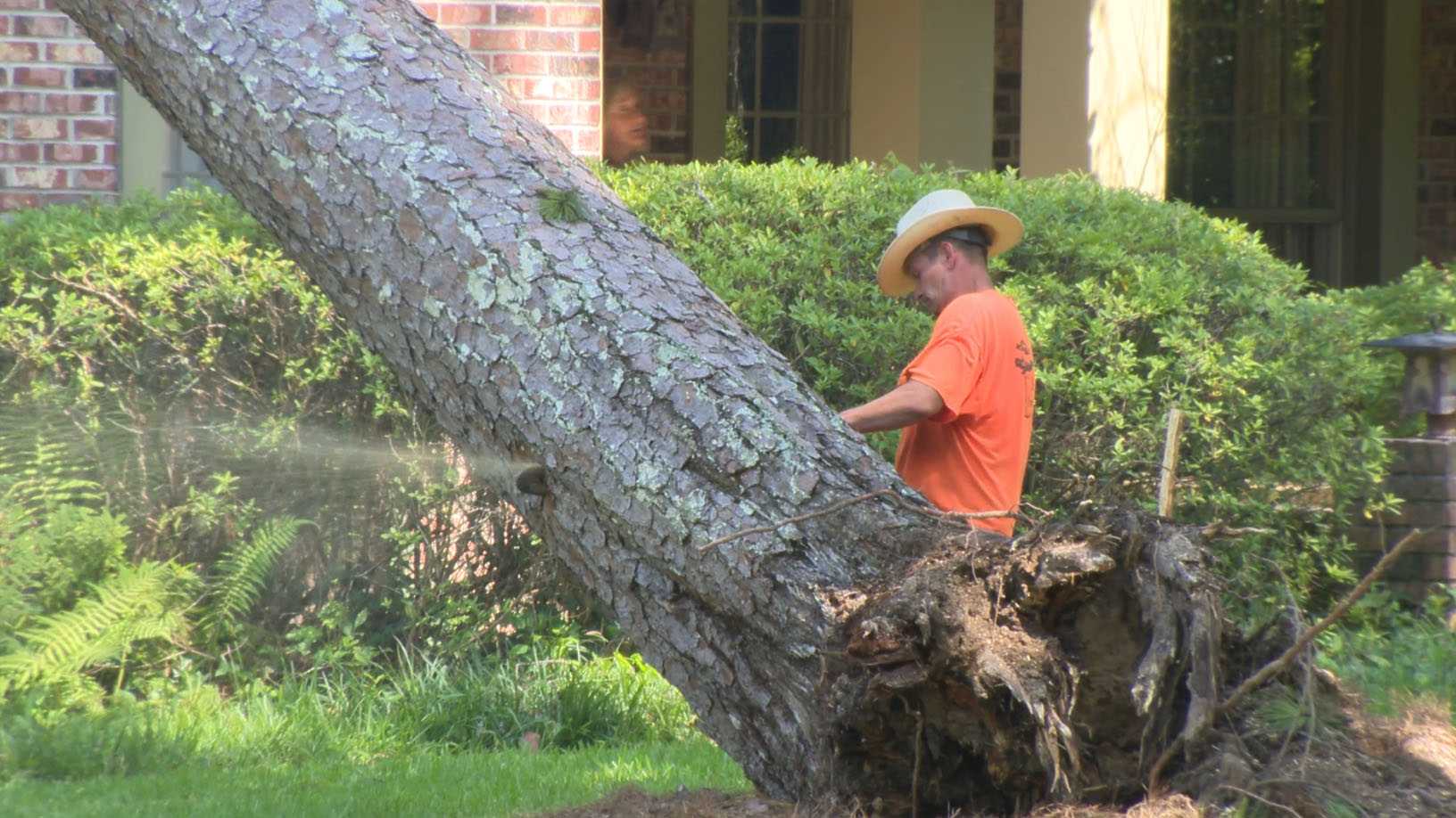 Jackson tree cutting company working non-stop to keep up with storm debris demand - Vimarsana News