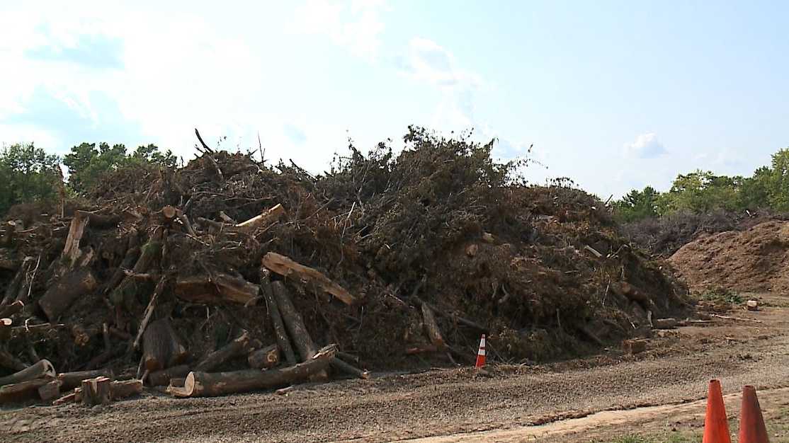 Volunteers fly in to help with storm cleanup, tree service companies try to handle demand - Vimarsana News