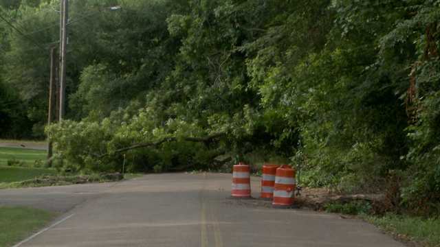 Tree falls blocking neighborhood already affected by bridge closure - Vimarsana News