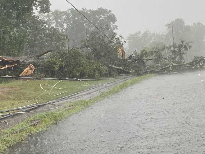 South Carolina: Trees, power lines downed as storms move through