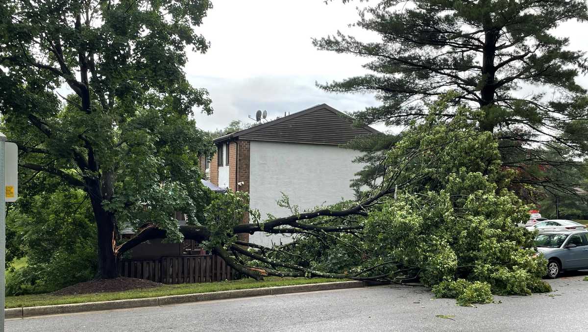 Storm damage found in Howard County;  More storms this weekend
