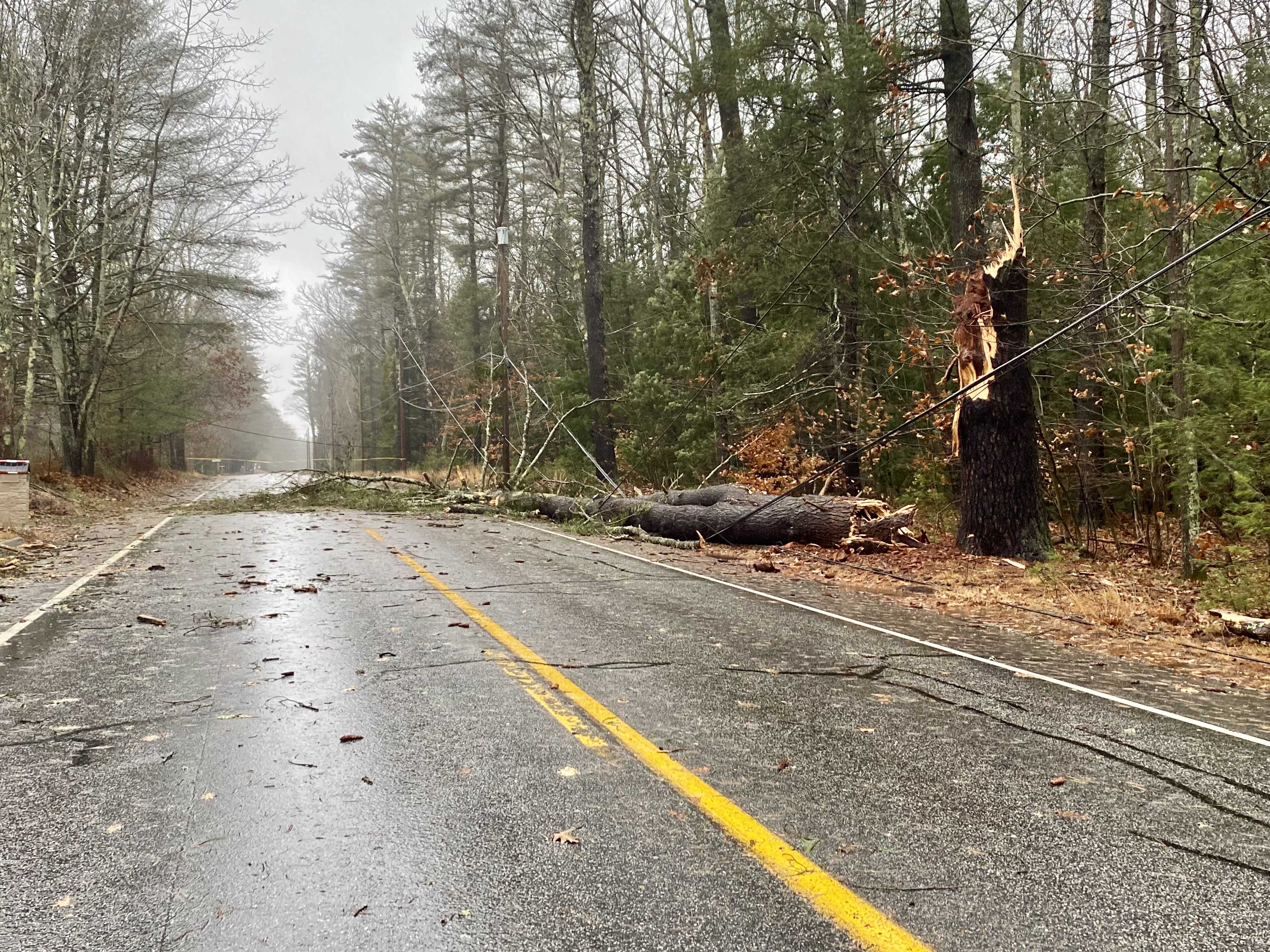 Maine road closures Heavy rain soaks ground winds knock down trees