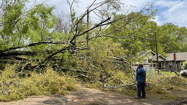 Severe weather takes down trees, dumps hail and rain across Mississippi