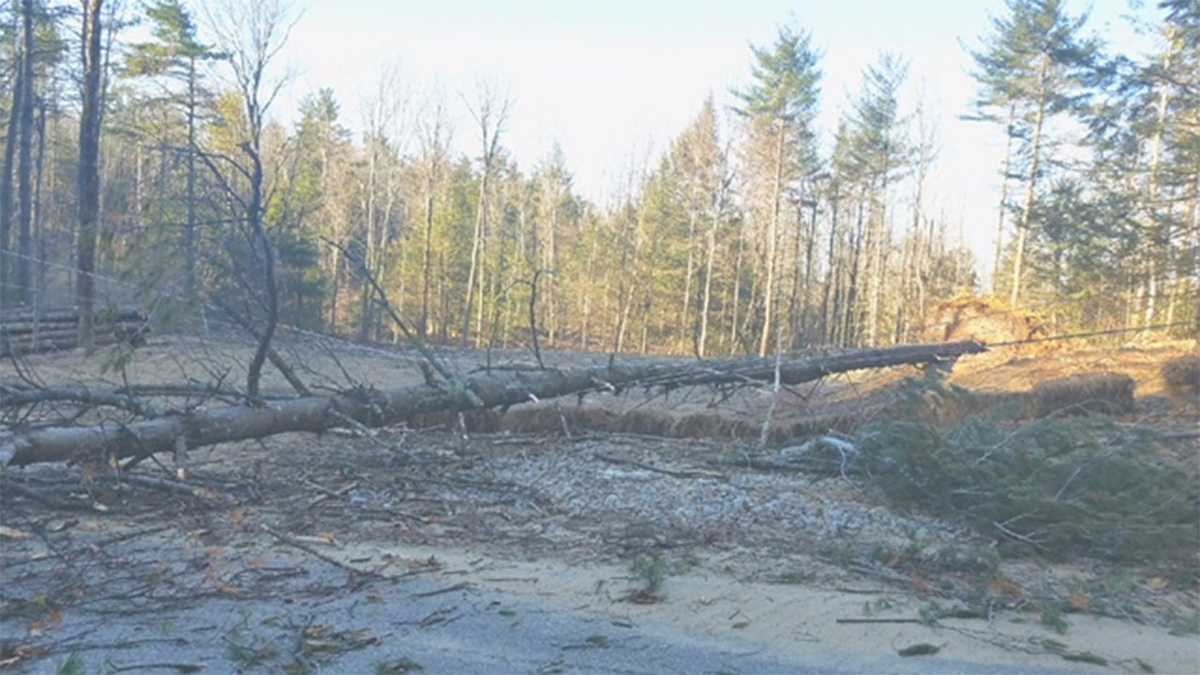Thousands without power after gusty winds pound NH