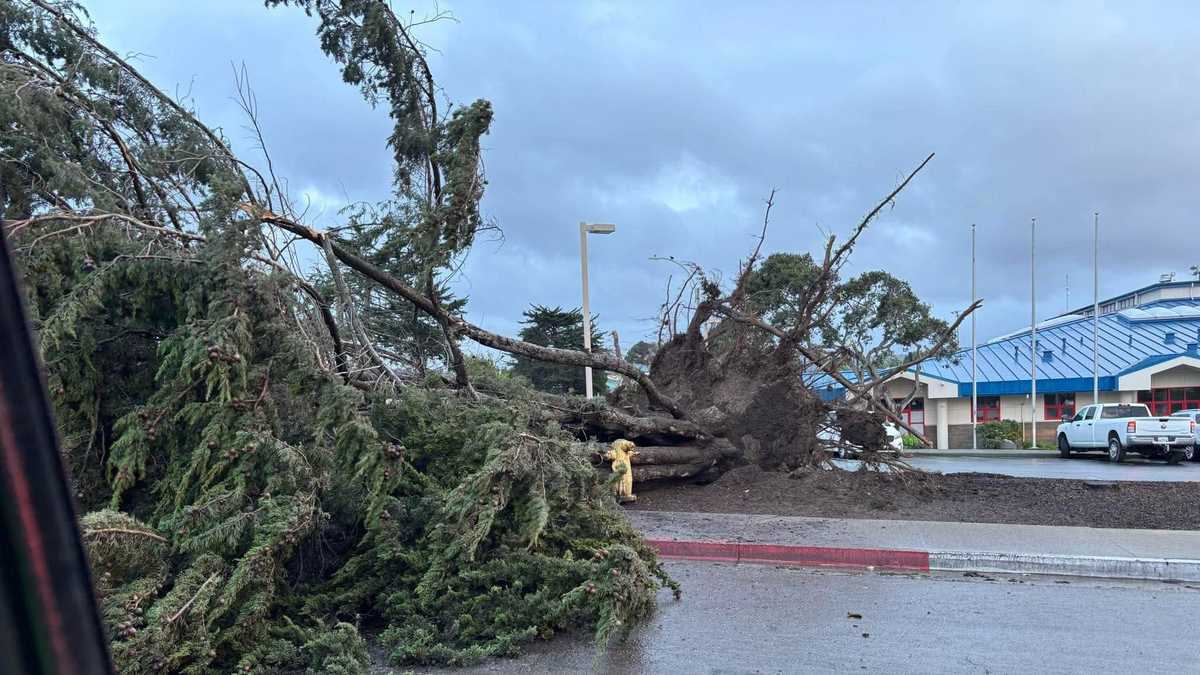 Gallery: Storm damages from across the Central Coast