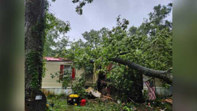 Tropical Storm Debby: Florida teen crushed, killed by downed tree