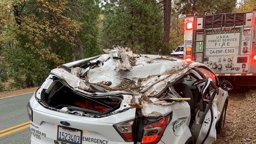 3 hurt after tree falls on El Dorado County sheriff's vehicle