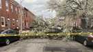tree falls on cars on Ellwood Avenue in Baltimore