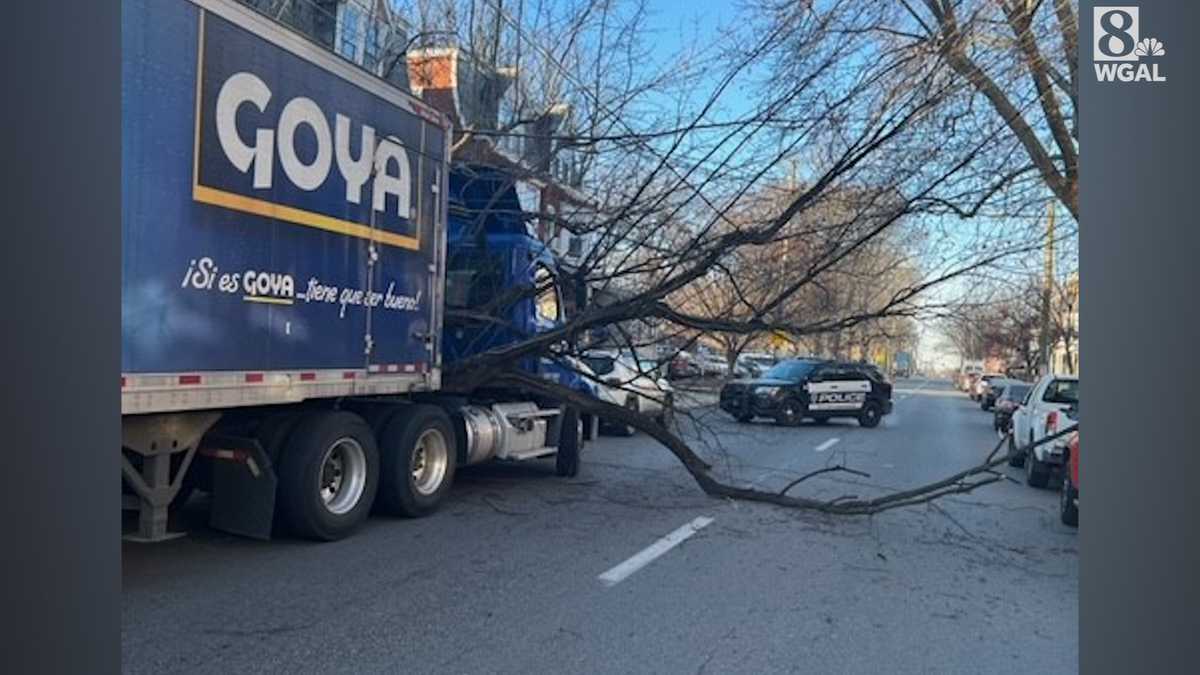 Tree falls on truck in Lancaster, Pa.