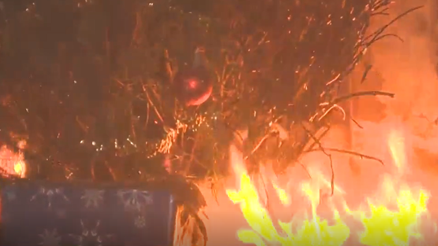 Sacramento Metro Fire shows how fast a Christmas tree can go up in flames indoors - Vimarsana News