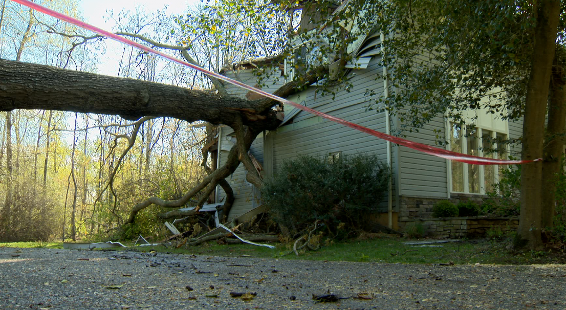 Man Dead After Tree Falls Onto Annapolis Home, 2 Others Injured