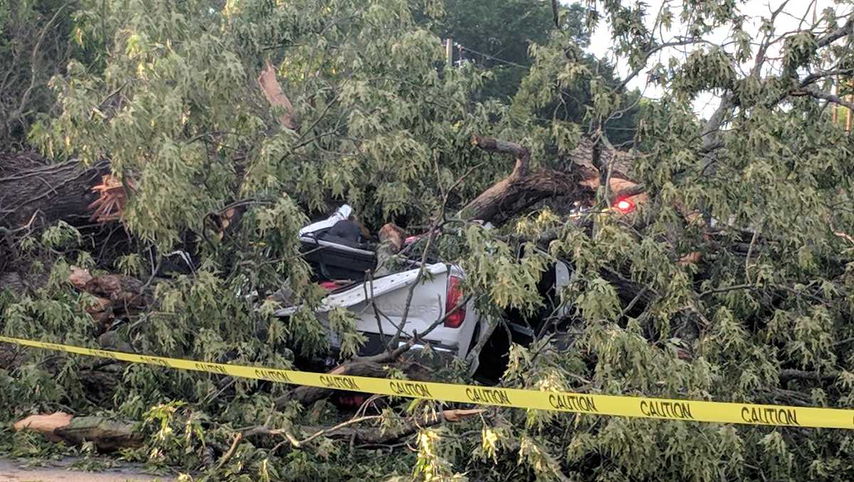 Man only has minor injuries after tree falls on truck