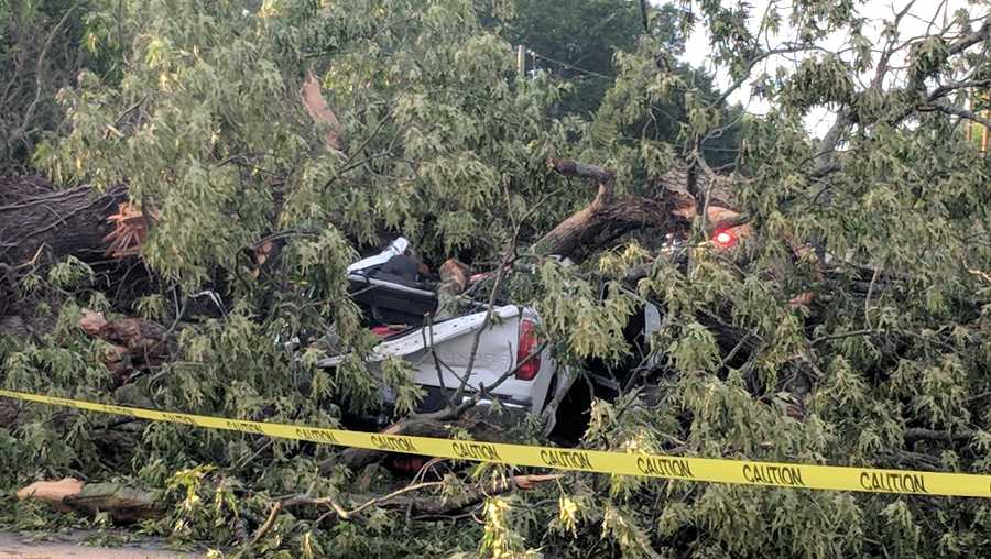 Man only has minor injuries after tree falls on truck