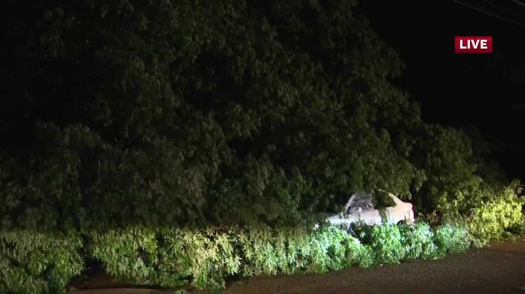 Thousands of Mississippians without power, some encounter fallen trees, flooding - Vimarsana News