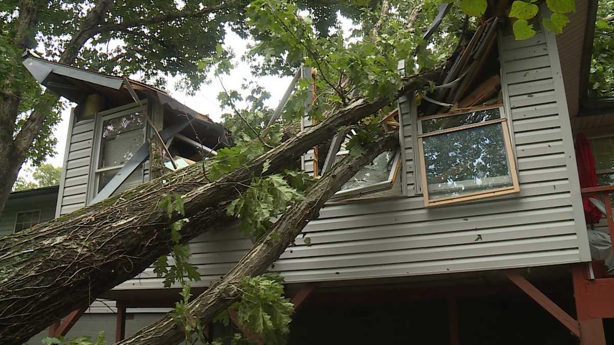 Tree falls on Bella Vista house, narrowly misses couple inside