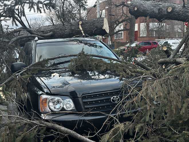 Large tree crashes down on top of SUV in Lancaster Twp. | Video, photos