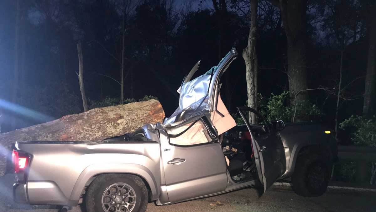 Battalion Chief: Driver in serious condition after tree falls on vehicle