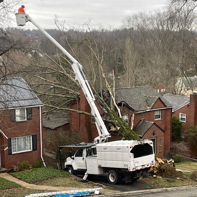 Penn Hills: Large tree falls on house