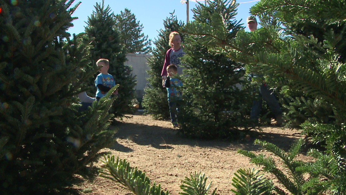 Local boy scouts are hoping to make big a profit selling Christmas