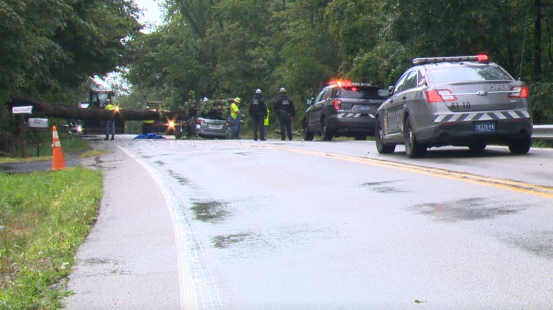 Driver killed, passenger taken to hospital after tree falls on car in ...