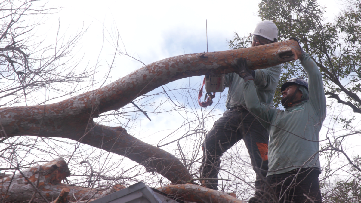 Crews busy clearing downed trees across Sacramento