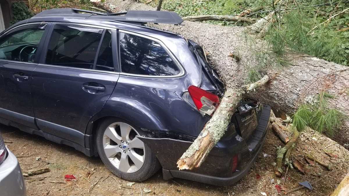 Thousands without power after thunderstorms cause widespread wind damage