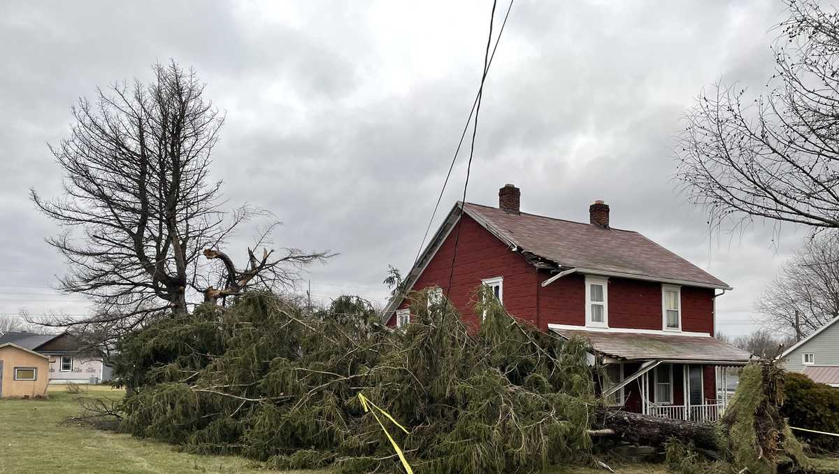 Trees down and roof ripped off home after severe weather hits