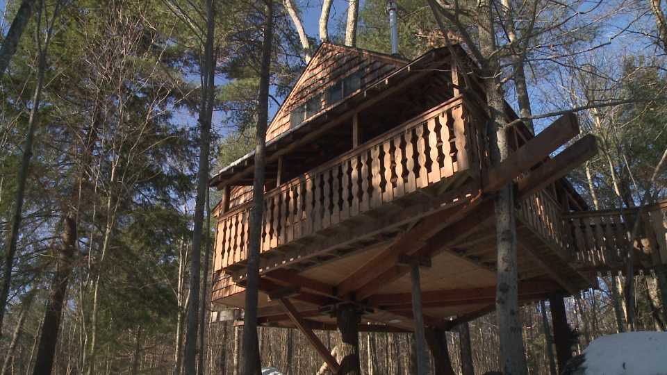 Monday, January 2nd: Tree House Vacations