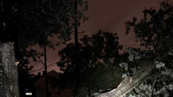 PHOTOS: Storm damage reported across New Orleans on May 12 - Vimarsana News